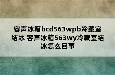 容声冰箱bcd563wpb冷藏室结冰 容声冰箱563wy冷藏室结冰怎么回事